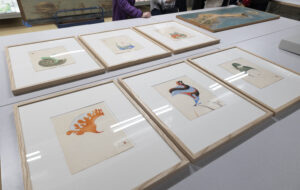 Six drawings framed on a table in a conservation studio