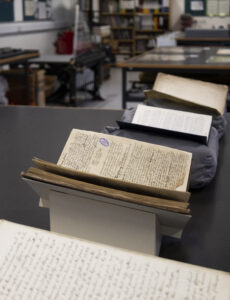 Dutch Orders and Dutch and Walloon Strangers Books at the Norfolk Record Office